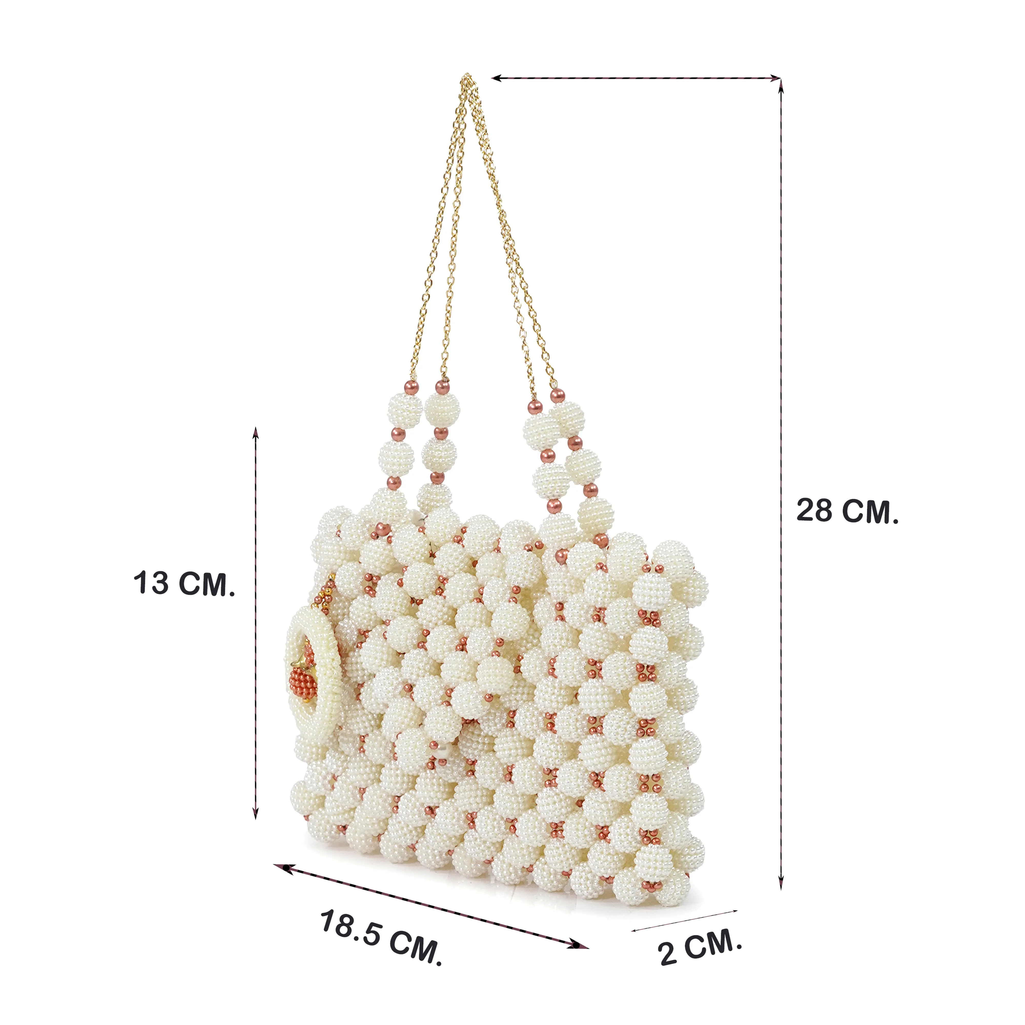 A-5 | Elegant Beaded Bag